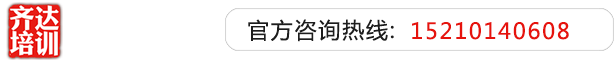 爆操骚妇齐达艺考文化课-艺术生文化课,艺术类文化课,艺考生文化课logo